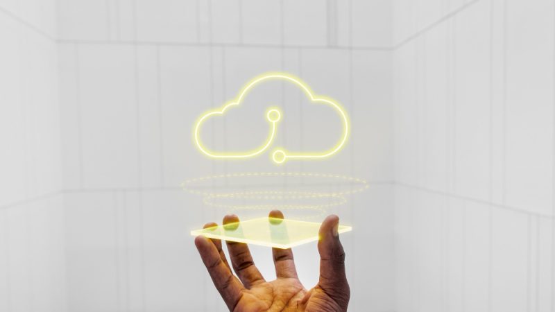 How Companies still running SAP ECC (Enterprise Central Component), RISE with SAP provides an innovative way to transition into the future while continuing to leverage the value of their existing infrastructure?